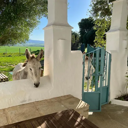 La Casa De Geranios *